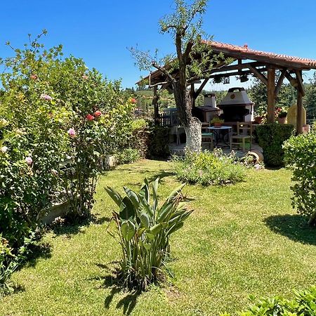 Villa Toula With Pool Nr Armeni Crete Makhairoi Экстерьер фото